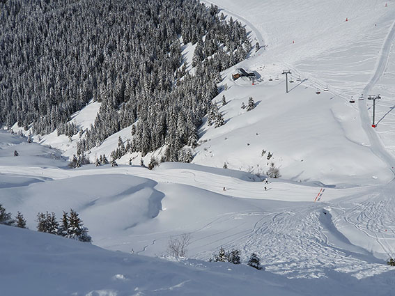 ski megeve france neige soleil sapin